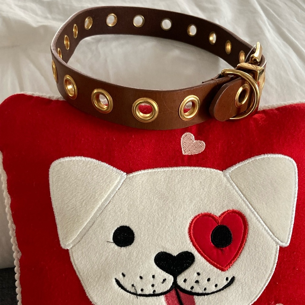 🆕 Light Brown Genuine Leather Dog Collar with Gold Grommet Accents!